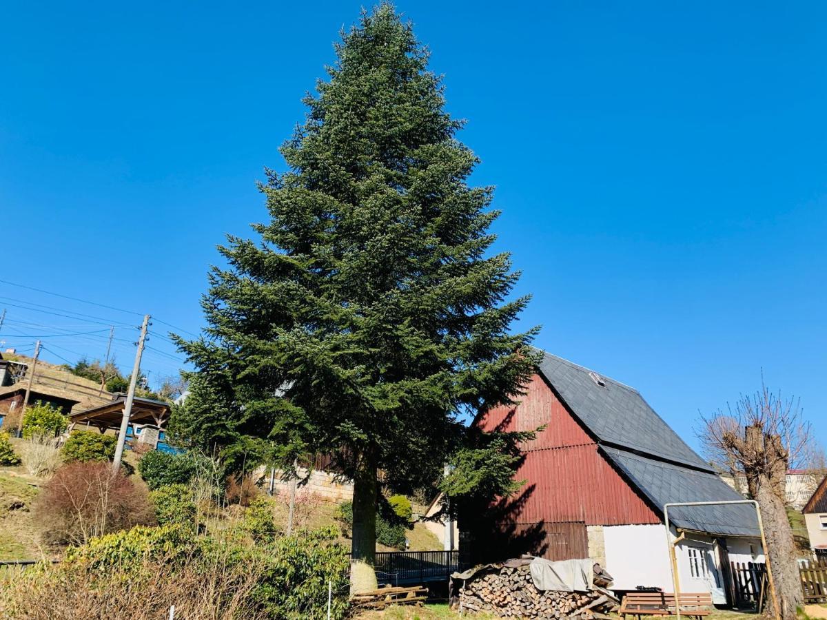 Naturhof Kluge Saupsdorf ภายนอก รูปภาพ