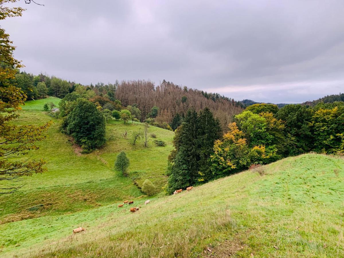 Naturhof Kluge Saupsdorf ภายนอก รูปภาพ
