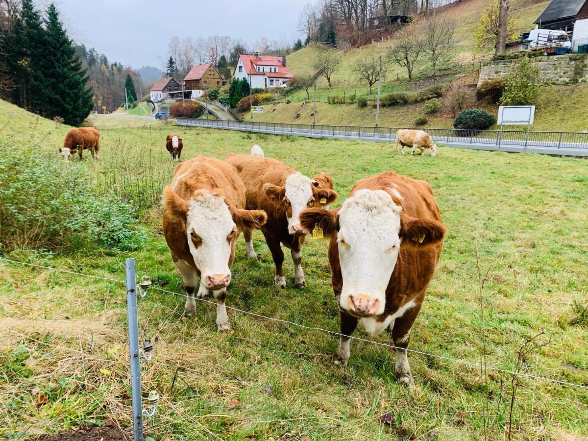 Naturhof Kluge Saupsdorf ภายนอก รูปภาพ