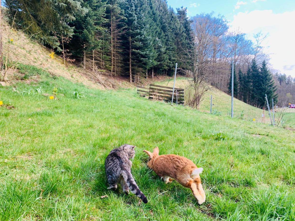 Naturhof Kluge Saupsdorf ภายนอก รูปภาพ