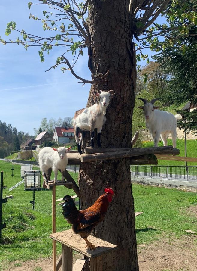 Naturhof Kluge Saupsdorf ภายนอก รูปภาพ